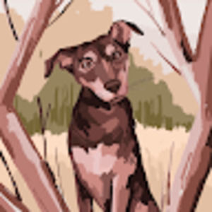 Meet your Posher, Shandel